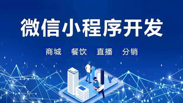 保定小程序開(kāi)發(fā)的優(yōu)化思路與提升路徑